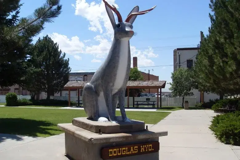 Car Shipping From and To Douglas Wyoming