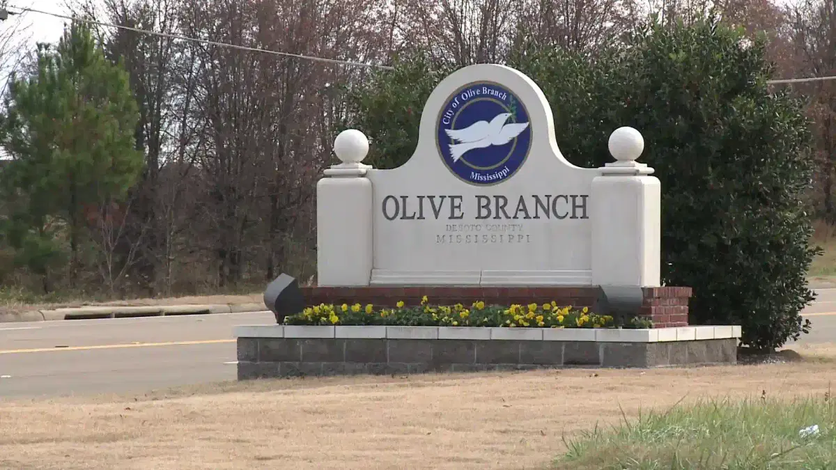 Car Shipping From and To Olive Branch Mississippi