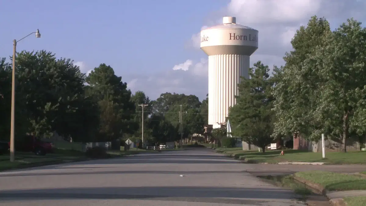 Car Shipping From and To Horn Lake Mississippi